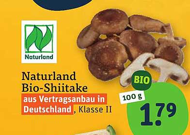 Naturland Bio-Shiitake aus Vertragsanbau in Deutschland, Klasse II
