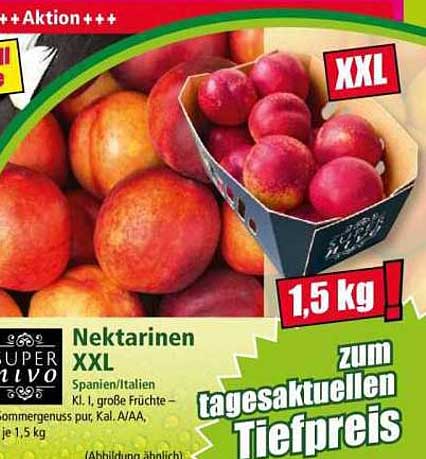 Nektarinen XXL