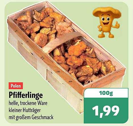 Pfifferlinge