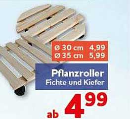 Pflanzroller Fichte und Kiefer