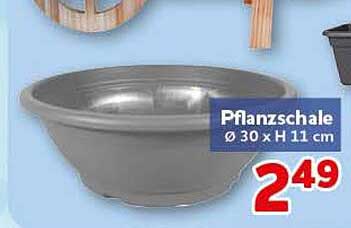 Pflanzschale Ø 30 x H 11 cm