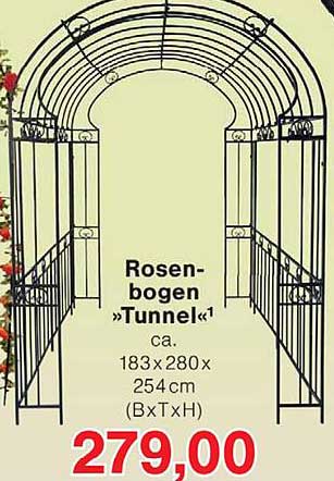 Rosen-bogen »Tunnel«