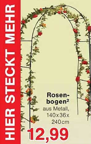 Rosenbogen