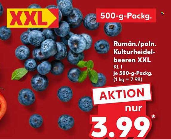 Rumän./poln. Kulturheidelbeeren XXL