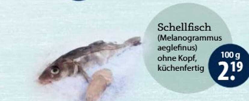Schellfisch (Melanogrammus aeglefinus) ohne Kopf, küchenfertig