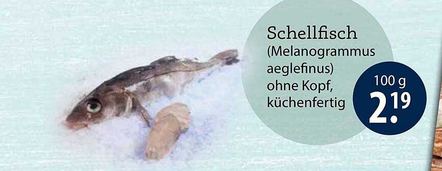 Schellfisch (Melanogrammus aeglefinus) ohne Kopf, küchenfertig