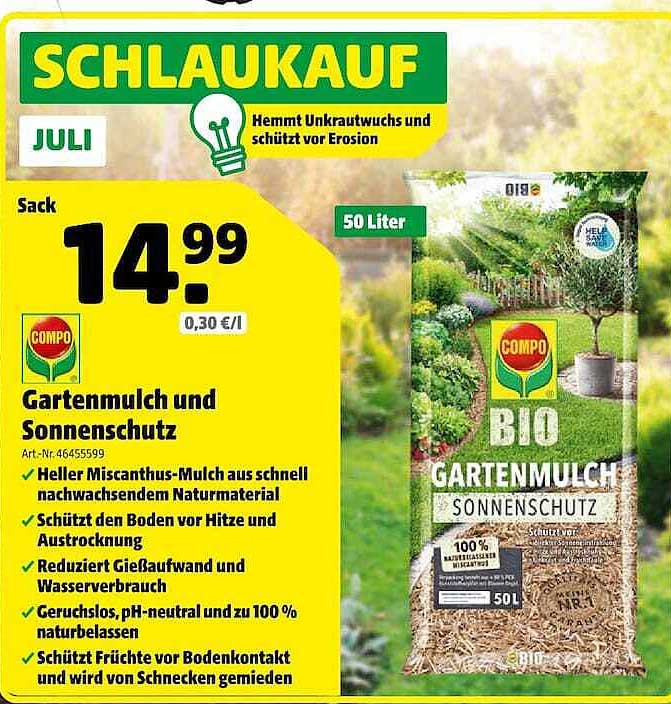 SCHLAUKAUF