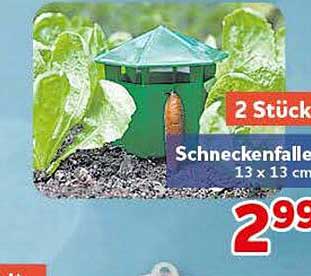 Schneckenfalle