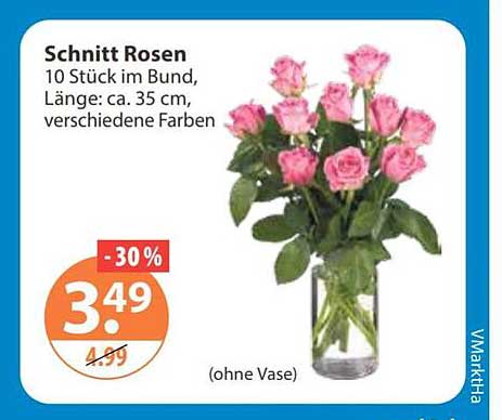 Schnitt Rosen