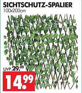 SICHTSCHUTZ-SPALIER 100x200cm