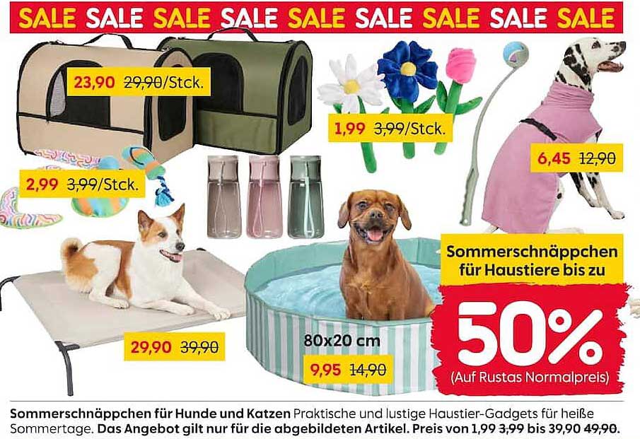 Sommerschnäppchen für Hunde und Katzen
