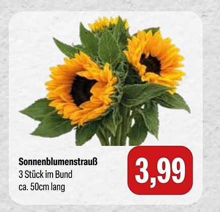 Sonnenblumenstrauß