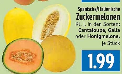 Spanische/Italienische Zuckermelonen