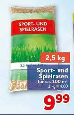 Sport- und Spielrasen