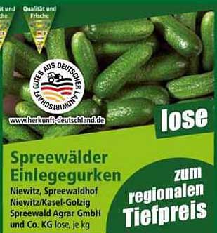 Spreewälder Einlegegurken