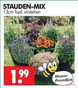 STAUDEN-MIX