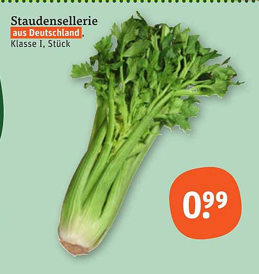 Staudensellerie aus Deutschland, Klasse I, Stück