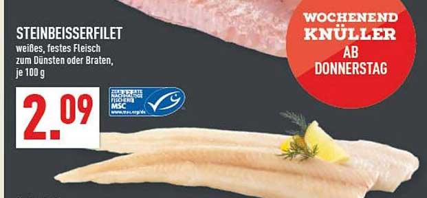 STEINBEISSERFILET