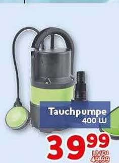 Tauchpumpe 400 W