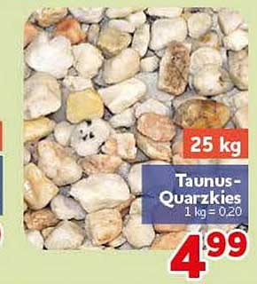 Taunus-Quarzkies