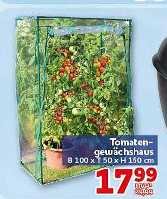 Tomaten-gewächshaus B 100 x T 50 x H 150 cm