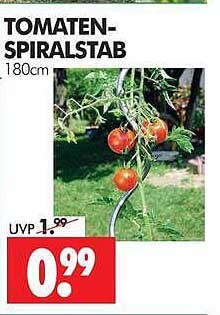TOMATEN-SPIRALSTAB