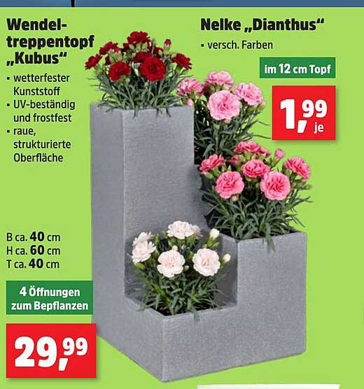 Wendel-Treppentopf „Kubus“