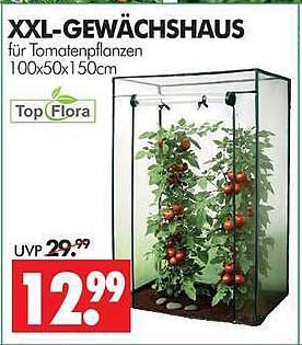 XXL-GEWÄCHSHAUS für Tomatenpflanzen 100x50x150cm