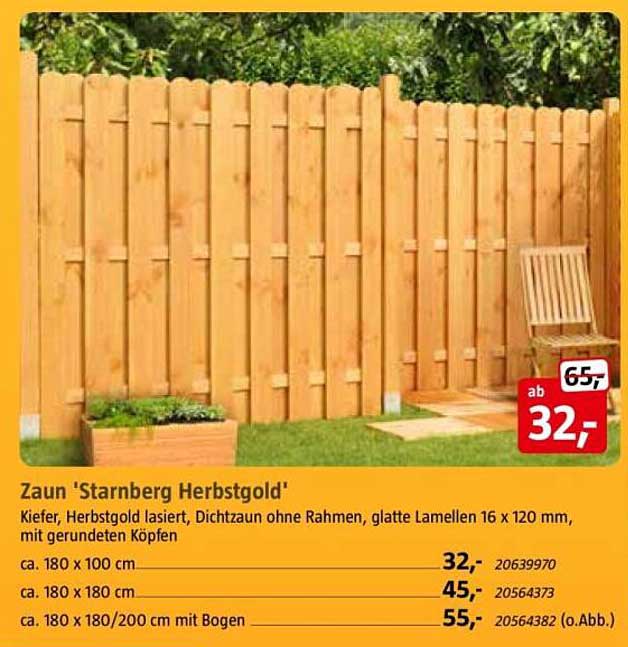 Zaun 'Starnberg Herbstgold'