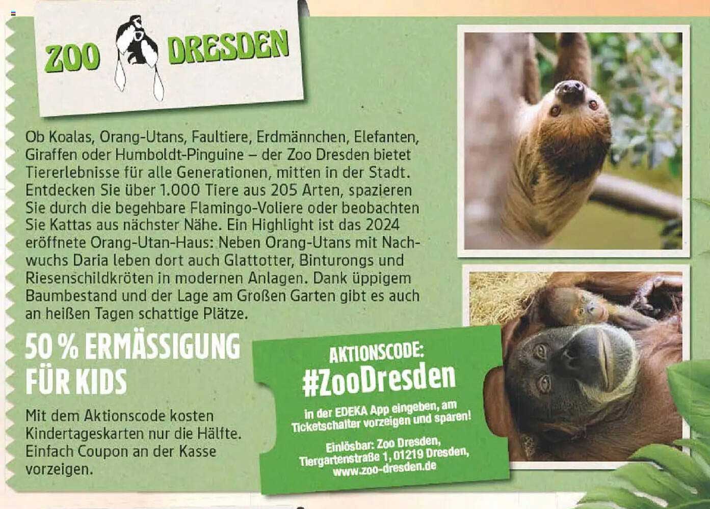 50 % Ermäßigung für Kids im Zoo Dresden