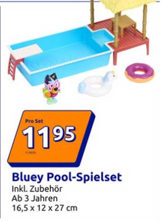 Bluey Pool-Spielset