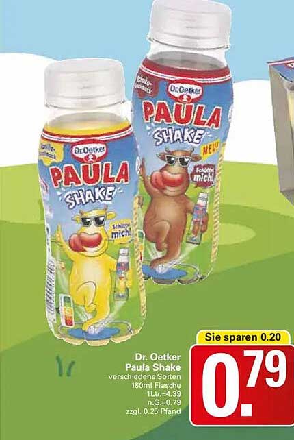 Dr. Oetker Paula Shake verschiedene Sorten 180ml Flasche