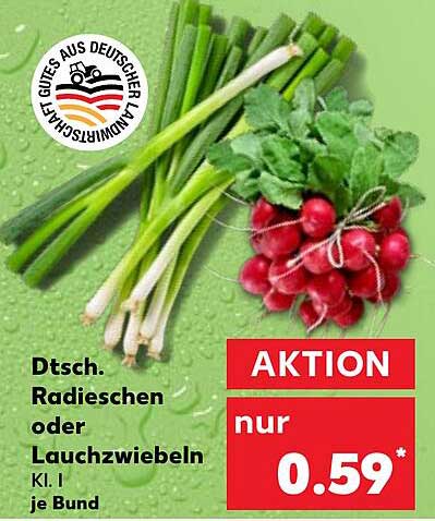 Dtsch. Radieschen oder Lauchzwiebeln Kl. I je Bund