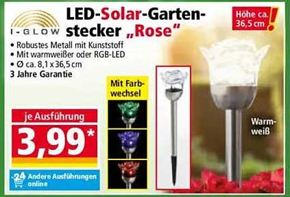 LED-Solar-Gartenstecker „Rose“