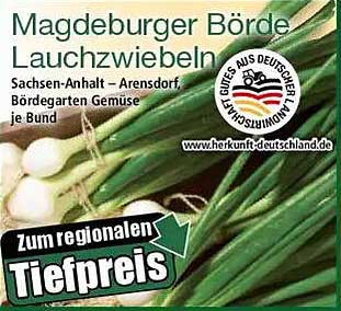 Magdeburger Börde Lauchzwiebeln je Bund