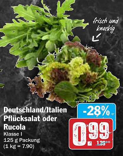 Pflücksalat oder Rucola - frisch und knackig!