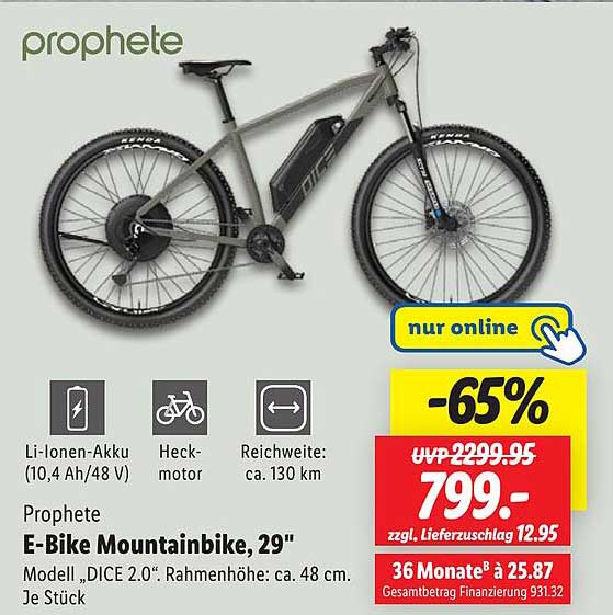 Prophete E-Bike Mountainbike, 29" - Modell DICE 2.0