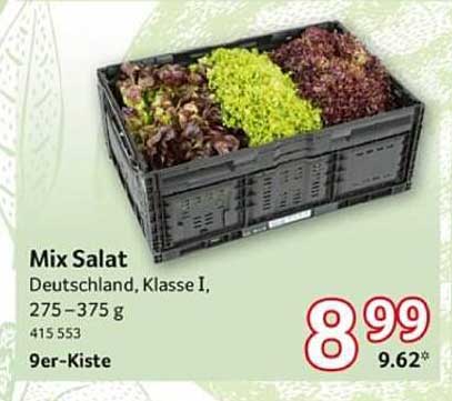 Mix Salat Deutschland, Klasse I, 275 – 375 g, 9er-Kiste