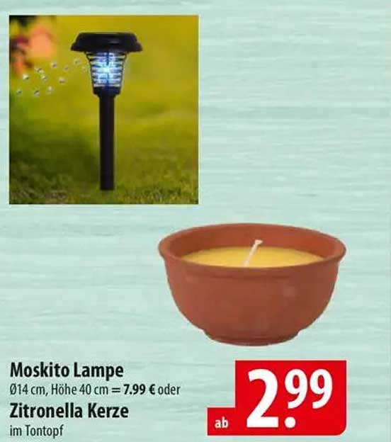 Moskito Lampe Ø14 cm, Höhe 40 cm für 5,49 € oder Zitronella Kerze im Tontopf ab 2,99 €