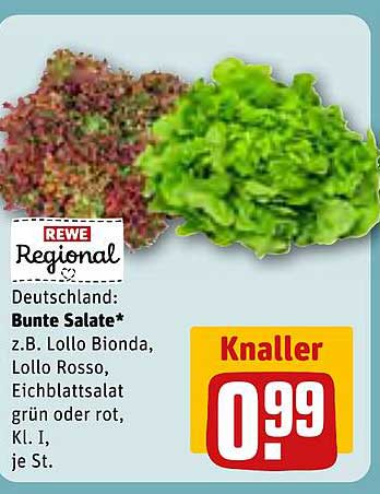 Bunte Salate - Lollo Bionda, Lollo Rosso, Eichblattsalat