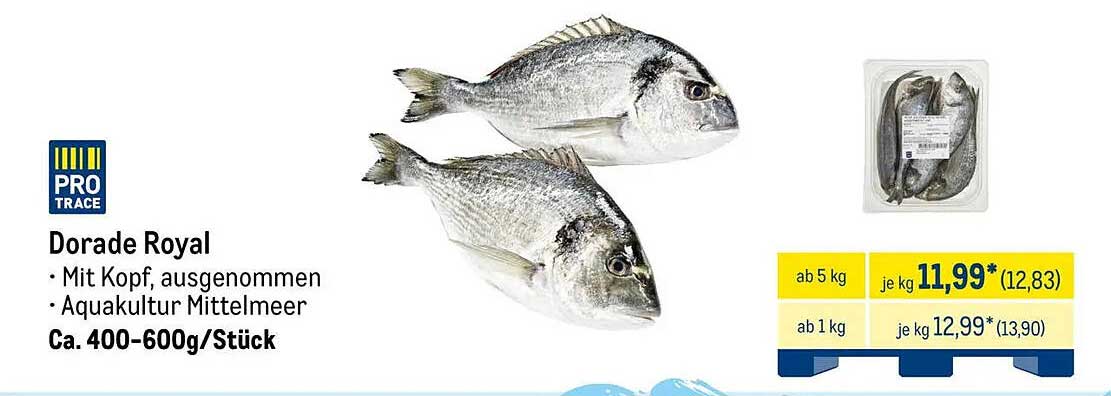 Dorada Royal - frisch aus der Mittelmeer-Aquakultur