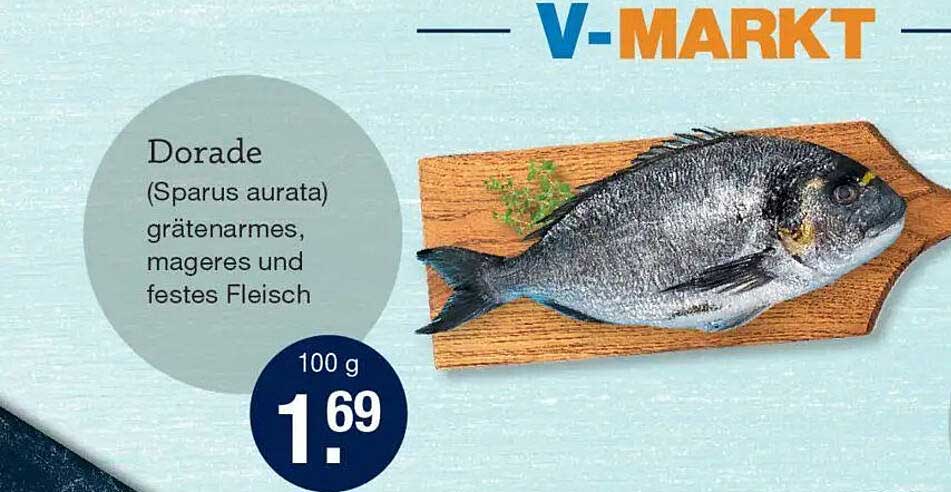 Dorade (Sparus aurata) - grätenarm, mageres und festes Fleisch