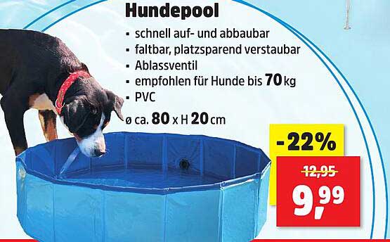 Hundepool