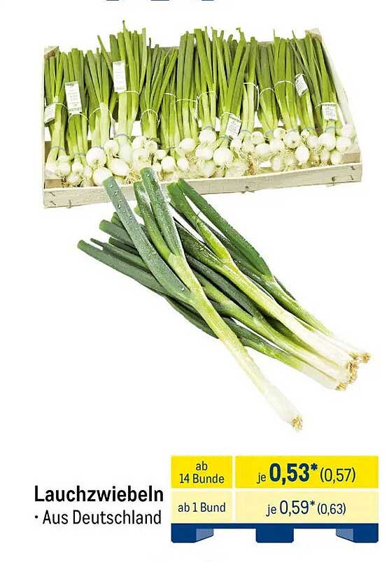 Lauchzwiebeln aus Deutschland
