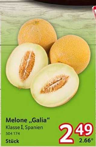 Melone „Galia“ Klasse I, Spanien