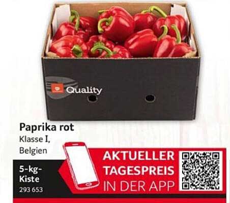 Paprika rot Klasse I, Belgien - 5-kg-Kiste