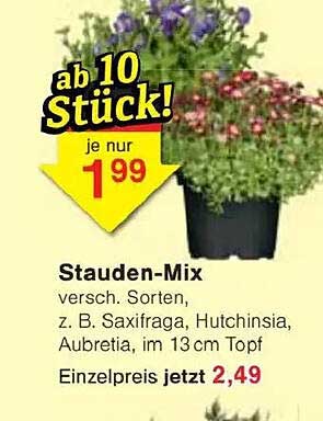 Stauden-Mix - Ab 10 Stück nur 1,99 €