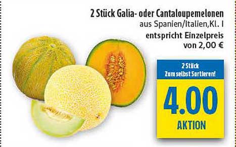2 Stück Galia- oder Cantaloupemelonen