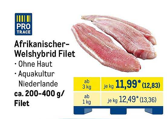 Afrikanischer-Welshybrid Filet