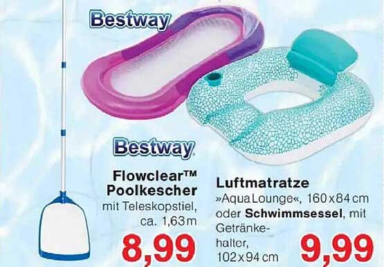Bestway Flowclear™ Poolkescher mit Teleskopstiel, ca. 1,63m